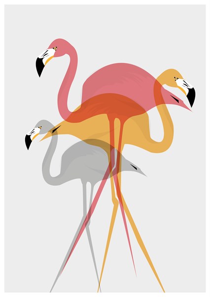 Flamingo by Ailsa Ash